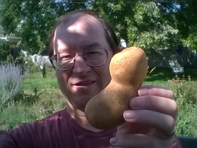 5 Reasons to Grow Potatoes